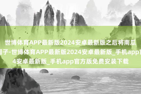 世博体育APP最新版2024安卓最新版之后将南瓜粉团揉成一个个小圆子-世博体育APP最新版2024安卓最新版_手机app官方版免费安装下载