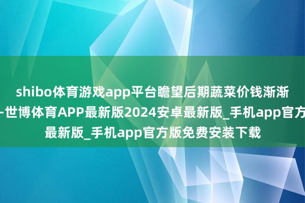 shibo体育游戏app平台瞻望后期蔬菜价钱渐渐转入季节性下行-世博体育APP最新版2024安卓最新版_手机app官方版免费安装下载