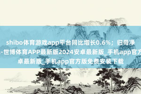 shibo体育游戏app平台同比增长0.6%；归母净利润460.74亿元-世博体育APP最新版2024安卓最新版_手机app官方版免费安装下载