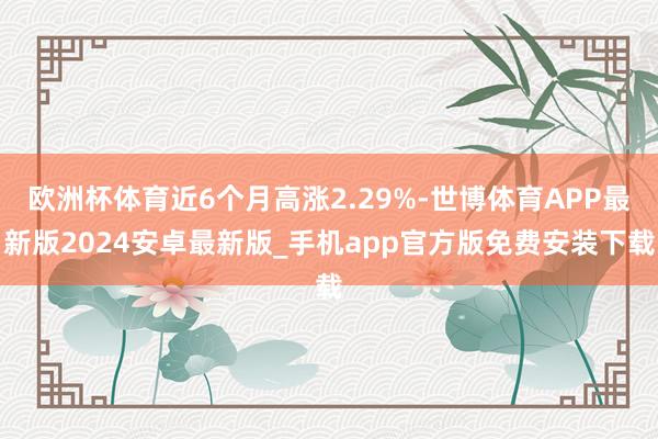 欧洲杯体育近6个月高涨2.29%-世博体育APP最新版2024安卓最新版_手机app官方版免费安装下载