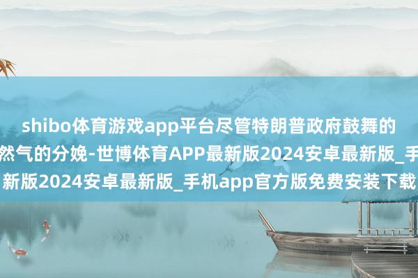 shibo体育游戏app平台尽管特朗普政府鼓舞的去监管设施有望训诫自然气的分娩-世博体育APP最新版2024安卓最新版_手机app官方版免费安装下载